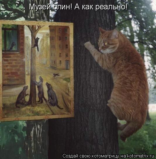 Музей блин! А как реально!... Котоматрица: Музей блин! А как реально!