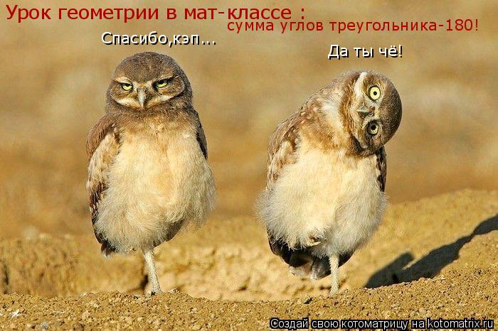 Урок геометрии в мат-классе : сумма углов треугольника-180! Спасибо,кэп... Да ты чё!... Котоматрица: Урок геометрии в мат-классе : сумма углов треугольника-180! Спасибо,кэп... Да ты чё!