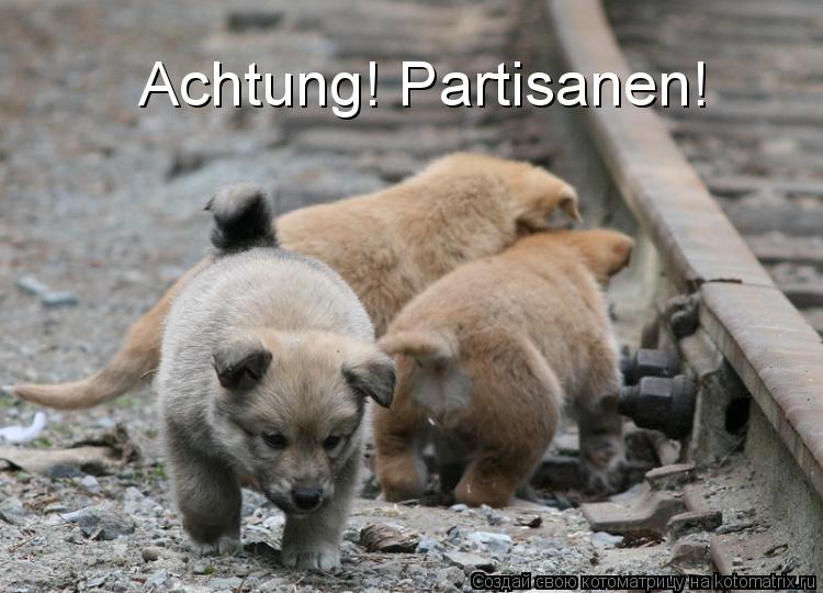 Achtung! Partisanen!... Котоматрица: Achtung! Partisanen!