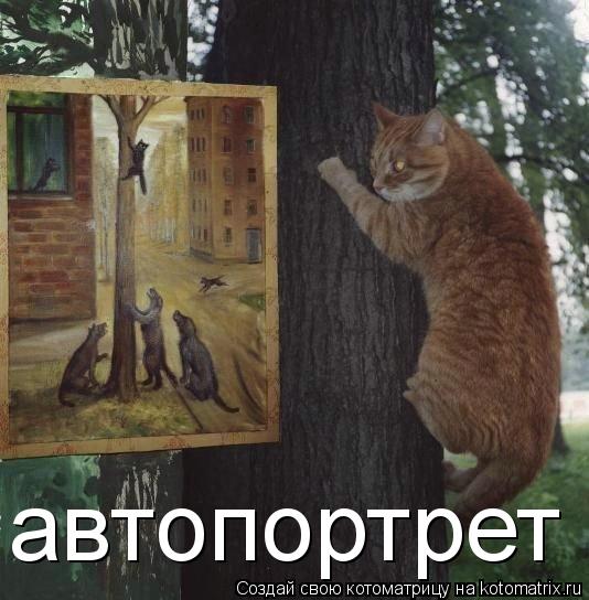 автопортрет... Котоматрица: автопортрет