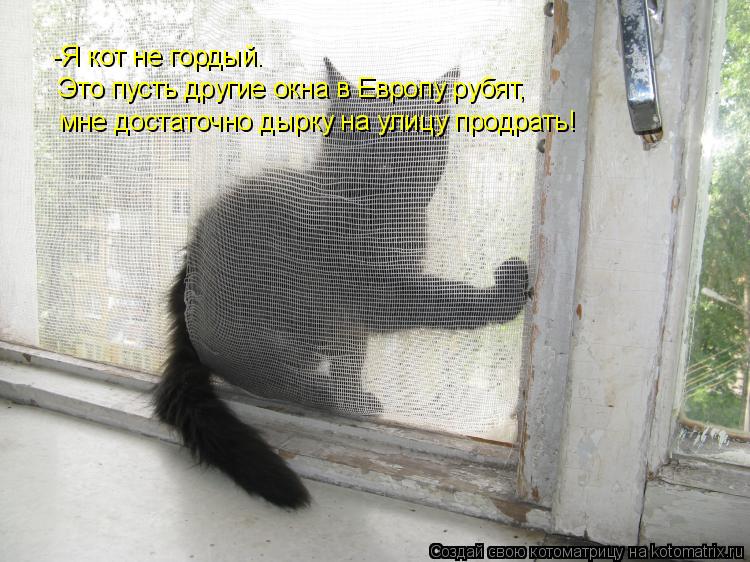 Котоматрица: -Я кот не гордый. Это пусть другие окна в Европу рубят, мне достаточно дырку на улицу продрать!