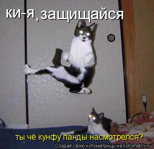 ки-я , защищайся ты чё кунфу панды насмотрелся?... Котоматрица: ки-я , защищайся ты чё кунфу панды насмотрелся?