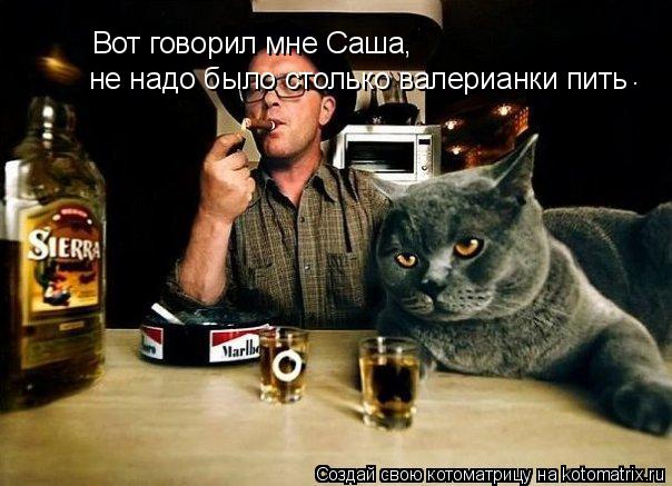 Вот говорил мне Саша, не надо было столько валерианки пить .... Котоматрица: Вот говорил мне Саша, не надо было столько валерианки пить .