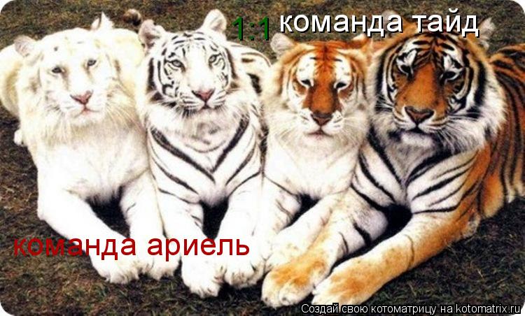 команда ариель команда тайд 1:1... Котоматрица: команда ариель команда тайд 1:1