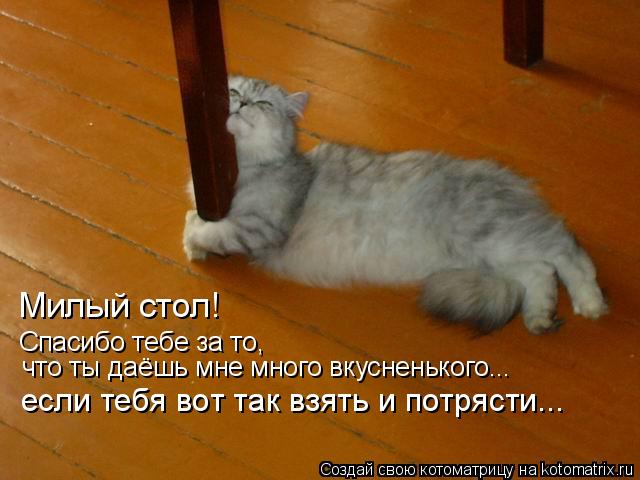 Спасибо тебе за то, что ты даёшь мне много вкусненького... Милый стол! если тебя вот так взять и потр... Котоматрица: Спасибо тебе за то, что ты даёшь мне много вкусненького... Милый стол! если тебя вот так взять и потрясти...
