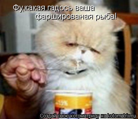 Фу,какая гадось ваша фаршированая рыба!... Котоматрица: Фу,какая гадось ваша фаршированая рыба!