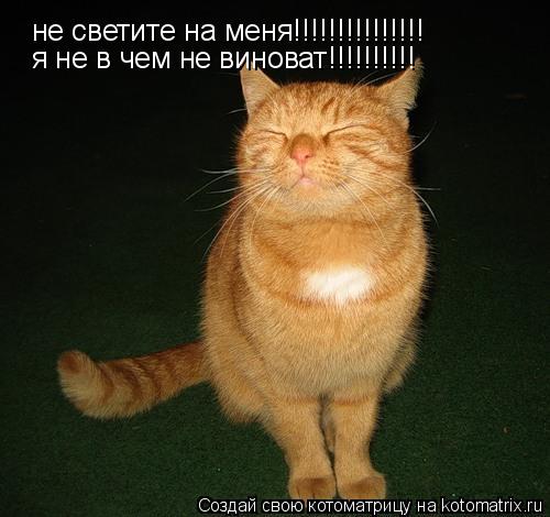 не светите на меня!!!!!!!!!!!!!!! я не в чем не виноват!!!!!!!!!!... Котоматрица: не светите на меня!!!!!!!!!!!!!!! я не в чем не виноват!!!!!!!!!!