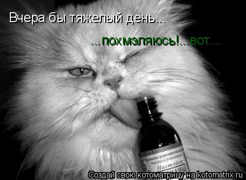 Вчера бы тяжелый день... ...похмэляюсь!...вот....... Котоматрица: Вчера бы тяжелый день... ...похмэляюсь!...вот....