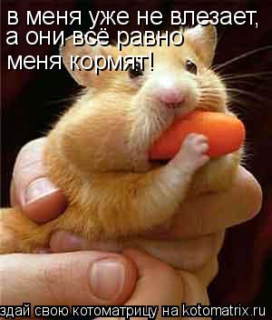 в меня уже не влезает, а они всё равно меня кормят!... Котоматрица: в меня уже не влезает, а они всё равно меня кормят!