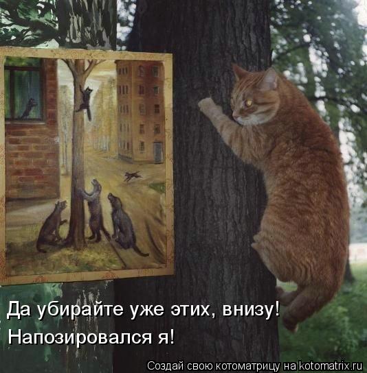 Котоматрица: Да убирайте уже этих, внизу! Напозировался я!