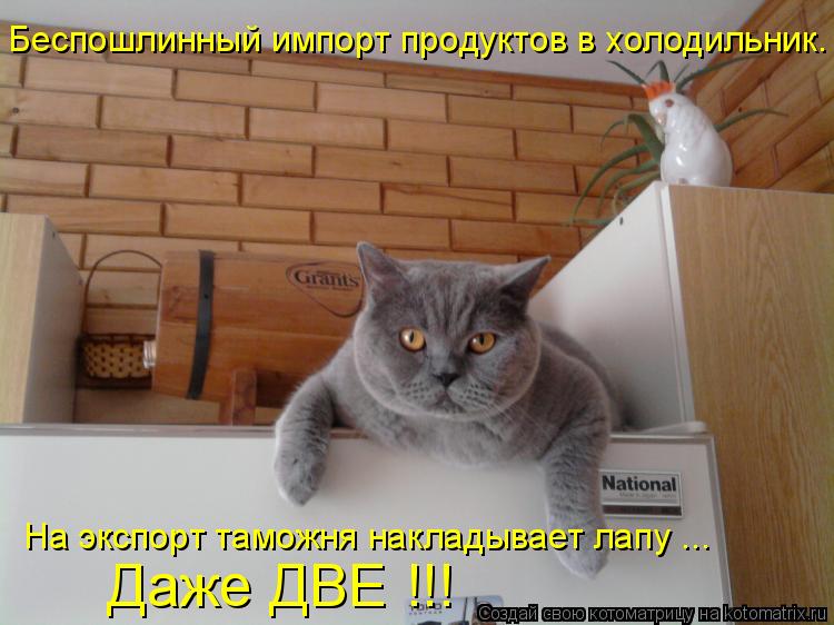 Котоматрица: Беспошлинный импорт продуктов в холодильник. На экспорт таможня накладывает лапу ... Даже ДВЕ !!!