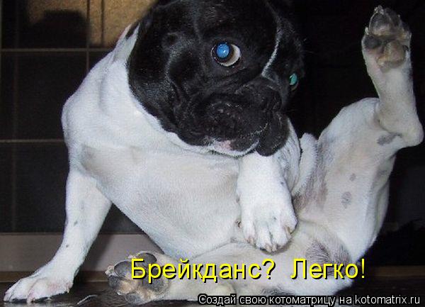 Брейкданс? Легко!... Котоматрица: Брейкданс? Легко!