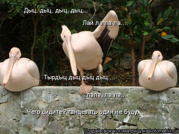 Дыц, дыц, дыц, дыц... Лай ла ла ла.... Тырдыц дыц дыц дыц.... лала, ла ла... Чего сидите? танцевать о... Котоматрица: Дыц, дыц, дыц, дыц... Лай ла ла ла.... Тырдыц дыц дыц дыц.... лала, ла ла... Чего сидите? танцевать один не буду....