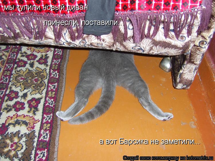 мы купили новый диван принесли, поставили... а вот Барсика не заметили...... Котоматрица: мы купили новый диван принесли, поставили... а вот Барсика не заметили...
