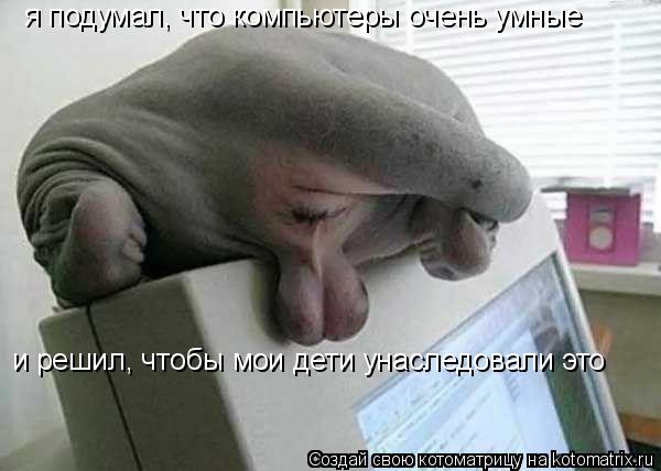 я подумал, что компьютеры очень умные и решил, чтобы мои дети унаследовали это... Котоматрица: я подумал, что компьютеры очень умные и решил, чтобы мои дети унаследовали это
