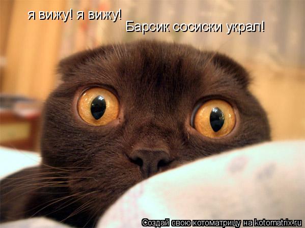 я вижу! я вижу! Барсик сосиски украл!... Котоматрица: я вижу! я вижу! Барсик сосиски украл!