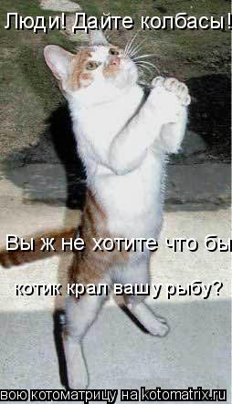 Люди! Дайте колбасы! Вы ж не хотите что бы котик крал вашу рыбу?... Котоматрица: Люди! Дайте колбасы! Вы ж не хотите что бы котик крал вашу рыбу?