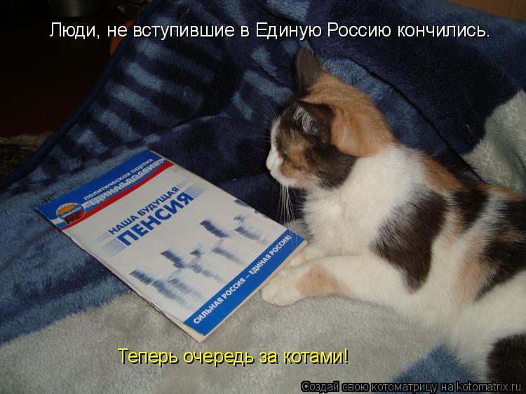 Люди, не вступившие в Единую Россию кончились. Теперь очередь за котами!... Котоматрица: Люди, не вступившие в Единую Россию кончились. Теперь очередь за котами!