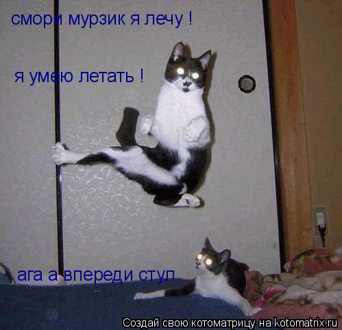 смори мурзик я лечу смори мурзик я лечу ! я умею летать ! ага а впереди стул... Котоматрица: смори мурзик я лечу смори мурзик я лечу ! я умею летать ! ага а впереди стул