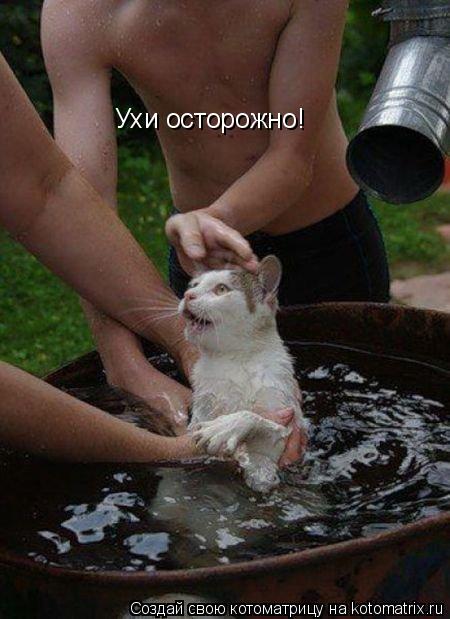Ухи осторожно!... Котоматрица: Ухи осторожно!