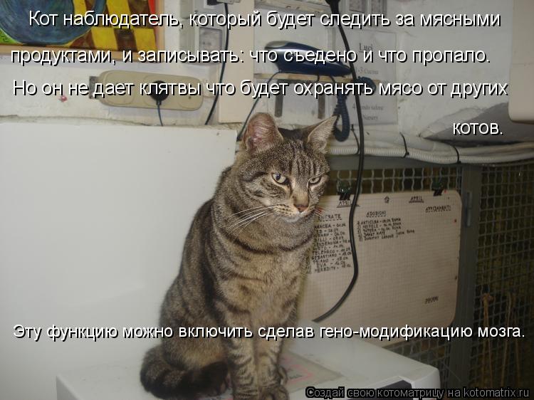 Кот наблюдатель, который будет следить за мясными продуктами, и записывать: что съедено и что пропало... Котоматрица: Кот наблюдатель, который будет следить за мясными продуктами, и записывать: что съедено и что пропало. Но он не дает клятвы что будет охраня
