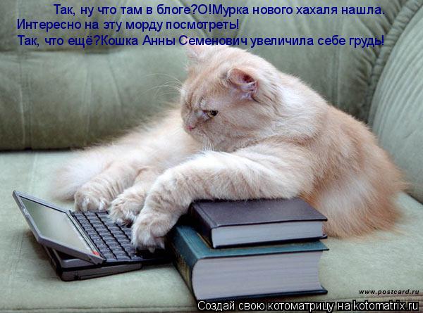 Так, ну что там в блоге?О!Мурка нового хахаля нашла. Интересно на эту морду посмотреть! Так, что ещё?... Котоматрица: Так, ну что там в блоге?О!Мурка нового хахаля нашла. Интересно на эту морду посмотреть! Так, что ещё?Кошка Анны Семенович увеличила себе груд
