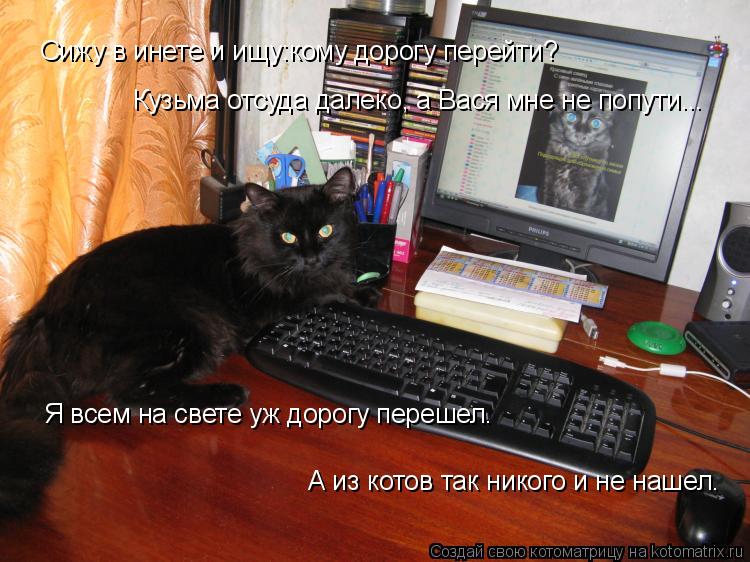 Сижу в инете и ищу:кому дорогу перейти? Кузьма отсуда далеко, а Вася мне не попути... Я всем на свете... Котоматрица: Сижу в инете и ищу:кому дорогу перейти? Кузьма отсуда далеко, а Вася мне не попути... Я всем на свете уж дорогу перешел. А из котов так никого и