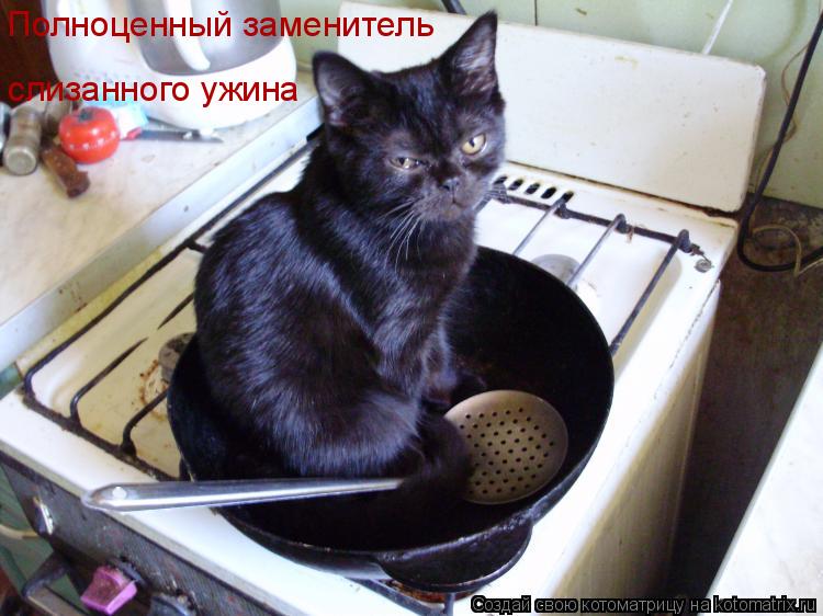 Полноценный заменитель слизанного ужина... Котоматрица: Полноценный заменитель слизанного ужина