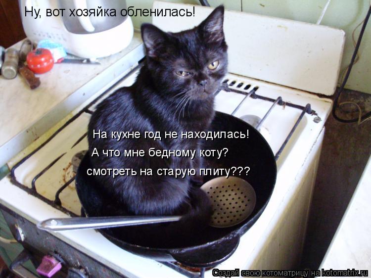 Ну, вот хозяйка обленилась! На кухне год не находилась! А что мне бедному коту? смотреть на старую п... Котоматрица: Ну, вот хозяйка обленилась! На кухне год не находилась! А что мне бедному коту? смотреть на старую плиту???