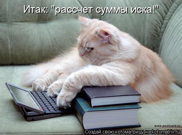 Итак: "рассчет суммы иска!"... Котоматрица: Итак: "рассчет суммы иска!"