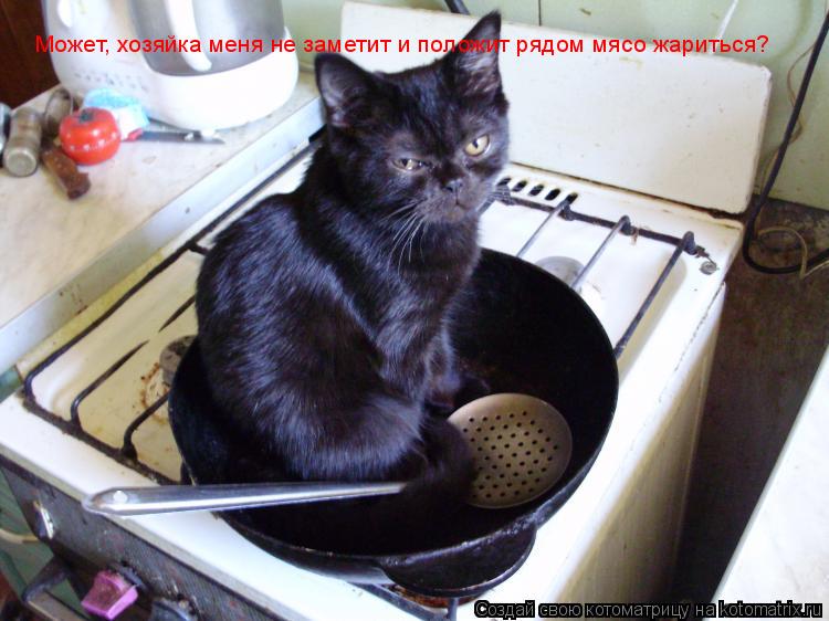Может, хозяйка меня не заметит и положит рядом мясо жариться?... Котоматрица: Может, хозяйка меня не заметит и положит рядом мясо жариться?