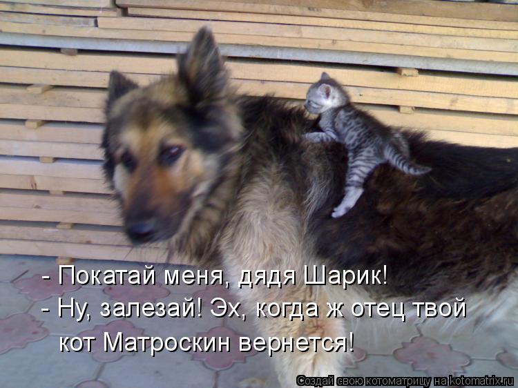 - Покатай меня, дядя Шарик! - Ну, залезай! Эх, когда ж отец твой кот Матроскин вернется!... Котоматрица: - Покатай меня, дядя Шарик! - Ну, залезай! Эх, когда ж отец твой кот Матроскин вернется!