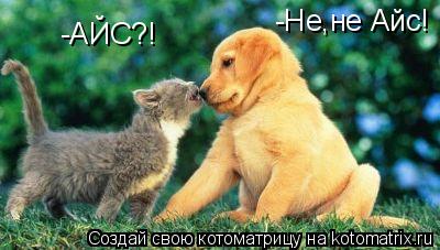 -АЙС?! -Не,не Айс!... Котоматрица: -АЙС?! -Не,не Айс!