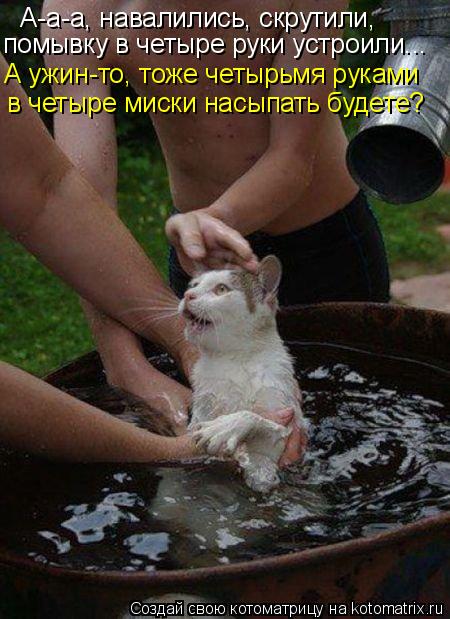 А-а-а, навалились, скрутили, помывку в четыре руки устроили... А ужин-то, тоже четырьмя руками в чет... Котоматрица: А-а-а, навалились, скрутили, помывку в четыре руки устроили... А ужин-то, тоже четырьмя руками в четыре миски насыпать будете?