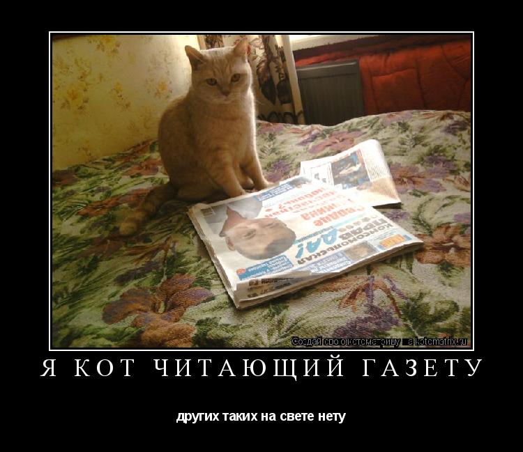 я кот читающий газету других таких на свете нету... Котоматрица: я кот читающий газету других таких на свете нету