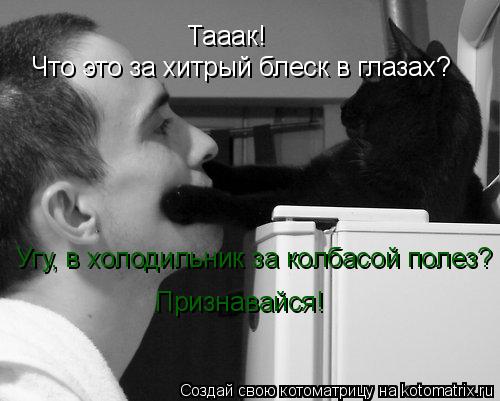 Тааак! Что это за хитрый блеск в глазах? Угу, в холодильник за колбасой полез? Признавайся!... Котоматрица: Тааак! Что это за хитрый блеск в глазах? Угу, в холодильник за колбасой полез? Признавайся!