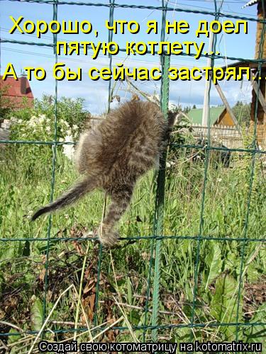 Хорошо, что я не доел пятую котлету... А то бы сейчас застрял...... Котоматрица: Хорошо, что я не доел пятую котлету... А то бы сейчас застрял...