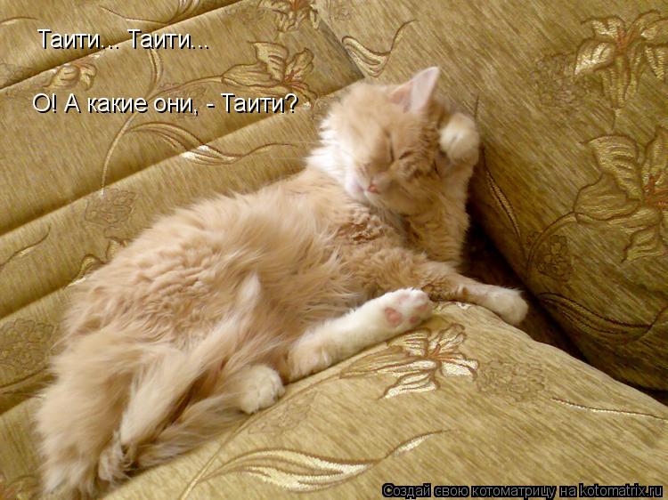 Таити... Таити... О! А какие они, - Таити?... Котоматрица: Таити... Таити... О! А какие они, - Таити?