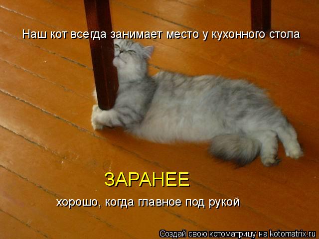 Наш кот всегда занимает место у кухонного стола ЗАРАНЕЕ хорошо, когда главное под рукой... Котоматрица: Наш кот всегда занимает место у кухонного стола ЗАРАНЕЕ хорошо, когда главное под рукой
