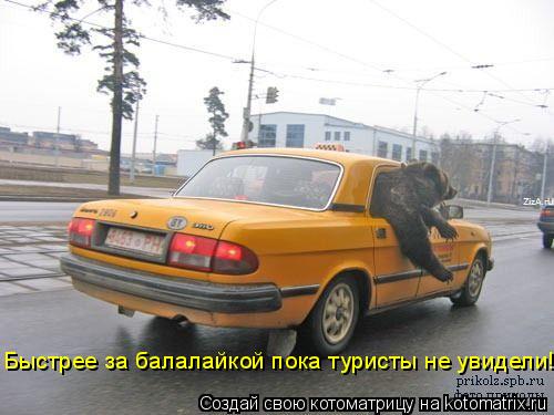 Быстрее за балалайкой пока туристы не увидели!!!... Котоматрица: Быстрее за балалайкой пока туристы не увидели!!!