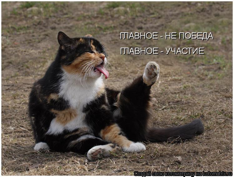 ГЛАВНОЕ - НЕ ПОБЕДА ГЛАВНОЕ - УЧАСТИЕ... Котоматрица: ГЛАВНОЕ - НЕ ПОБЕДА ГЛАВНОЕ - УЧАСТИЕ
