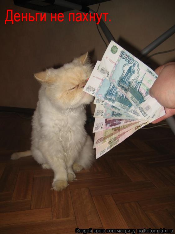 Деньги не пахнут.... Котоматрица: Деньги не пахнут.