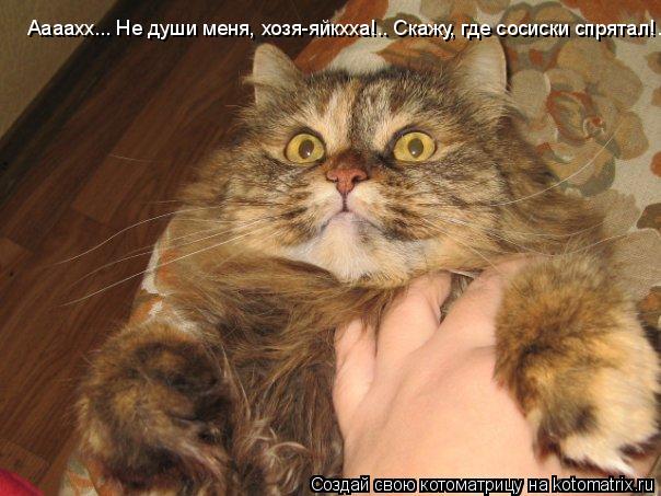 Аааахх... Не души меня, хозя-яйкхха!.. Скажу, где сосиски спрятал!..... Котоматрица: Аааахх... Не души меня, хозя-яйкхха!.. Скажу, где сосиски спрятал!..