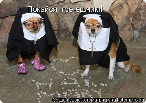 Покайся, гре-ешник!!... Котоматрица: Покайся, гре-ешник!!