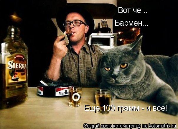 Вот че... Бармен... Еще 100 грамм - и все!... Котоматрица: Вот че... Бармен... Еще 100 грамм - и все!