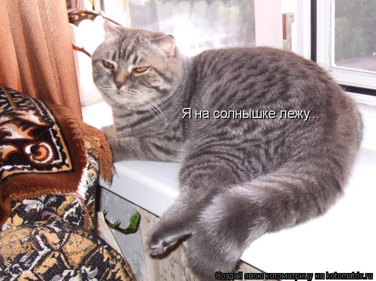 Я на солнышке лежу...... Котоматрица: Я на солнышке лежу...