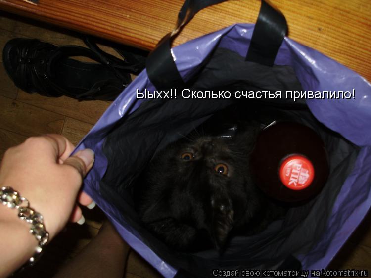 Ыыхх!! Сколько счастья привалило!... Котоматрица: Ыыхх!! Сколько счастья привалило!