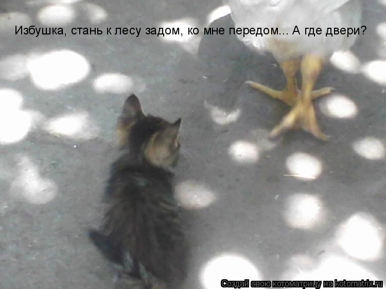 Избушка, стань к лесу задом, ко мне передом... А где двери?... Котоматрица: Избушка, стань к лесу задом, ко мне передом... А где двери?