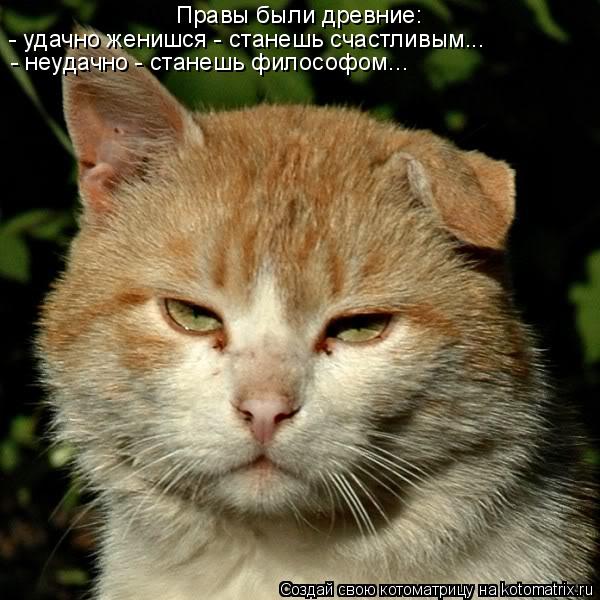 Правы были древние: - неудачно - станешь философом... - удачно женишся - станешь счастливым...... Котоматрица: Правы были древние: - неудачно - станешь философом... - удачно женишся - станешь счастливым...