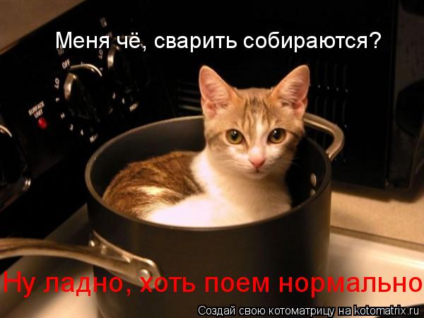 Меня чё, сварить собираются? Ну ладно, хоть поем нормально... Котоматрица: Меня чё, сварить собираются? Ну ладно, хоть поем нормально